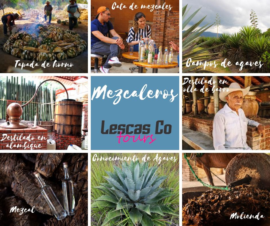 TOUR MEZCALEROS